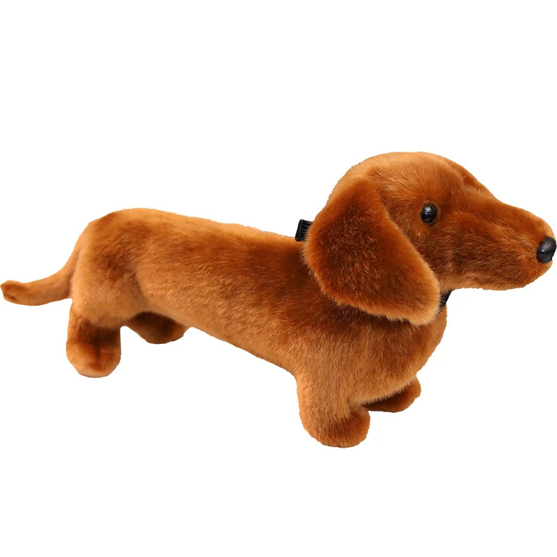 Peluche teckel brune debout, aux longues oreilles tombantes, sur fond blanc