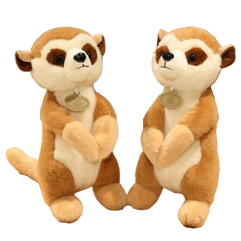 Deux peluches suricate réalistes assises