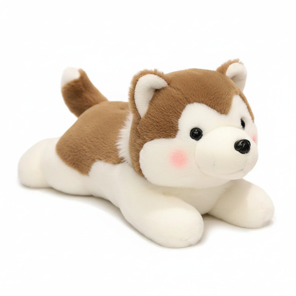 Peluche husky brune et blanche couchée, sur fond blanc